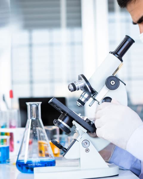 Regular Dental Cleaning